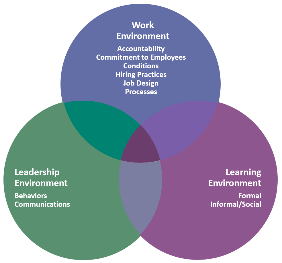 Venn Diagram featuring 3 overlapping circles for Work, Learning, and Leadership environments. Work includes accountability, commitment to employees, conditions, hiring practices, job design, and processes. Leadership includes behaviors and communications. Learning include formal as well as informal or social.
